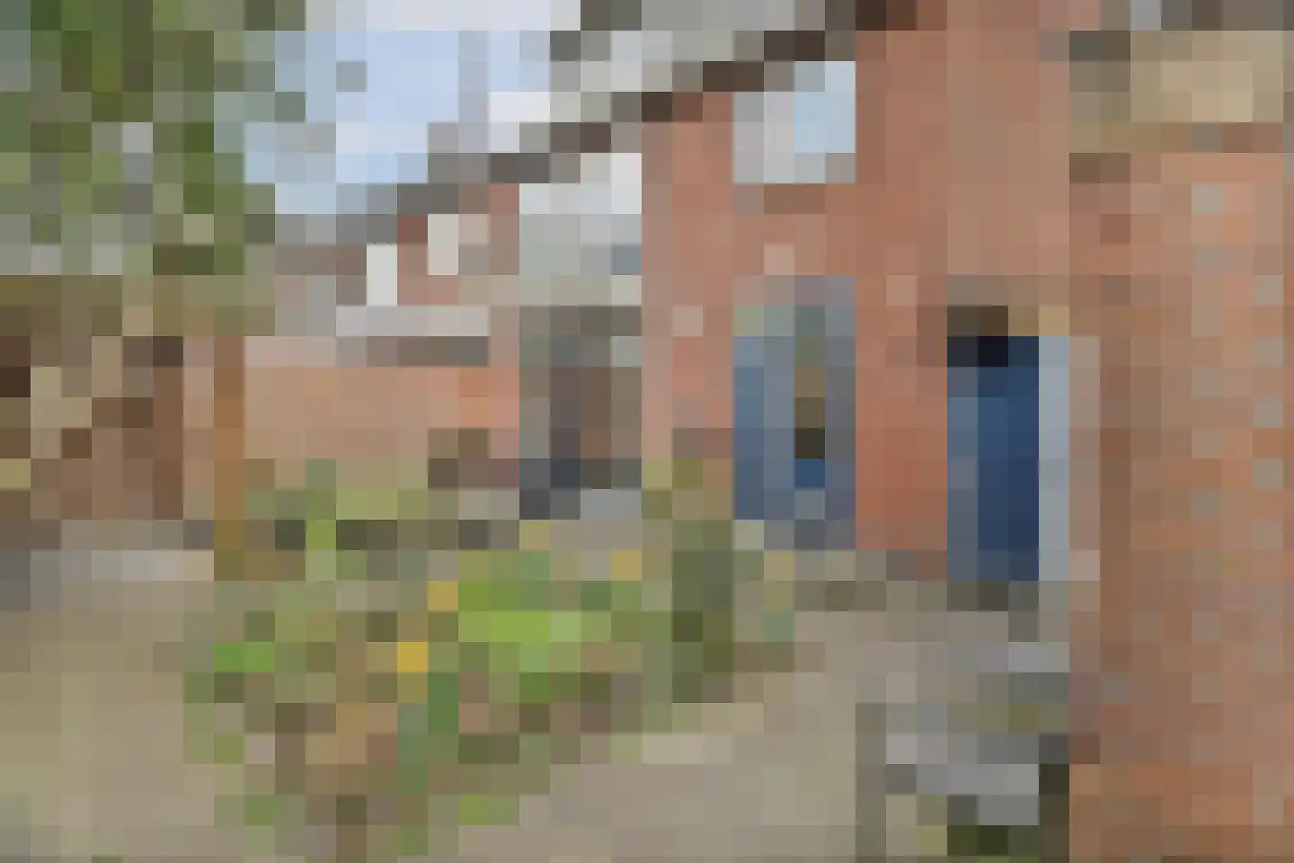 Brantsenpark 5 De Steeg thumbnail 47