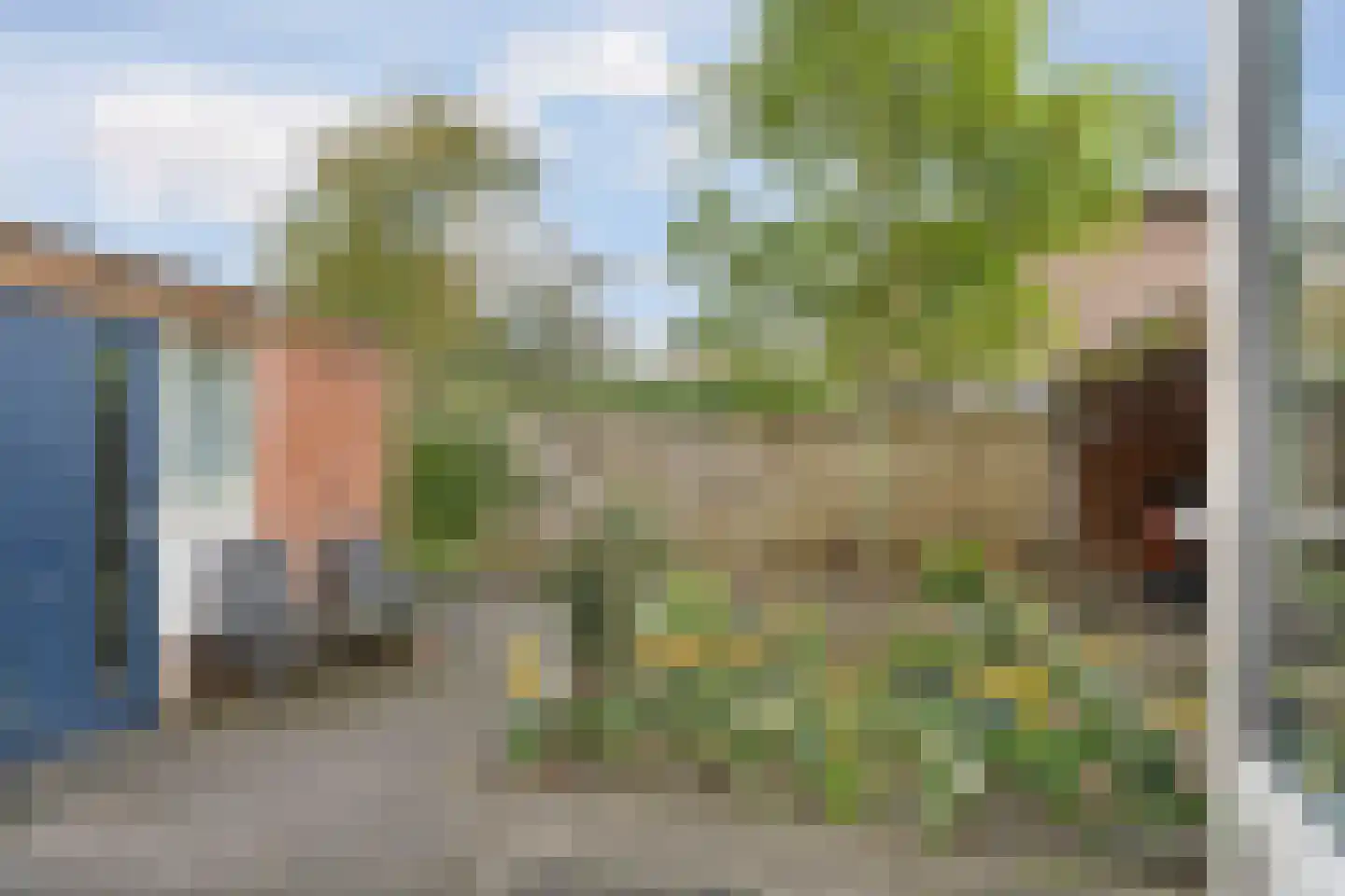 Brantsenpark 5 De Steeg thumbnail 48