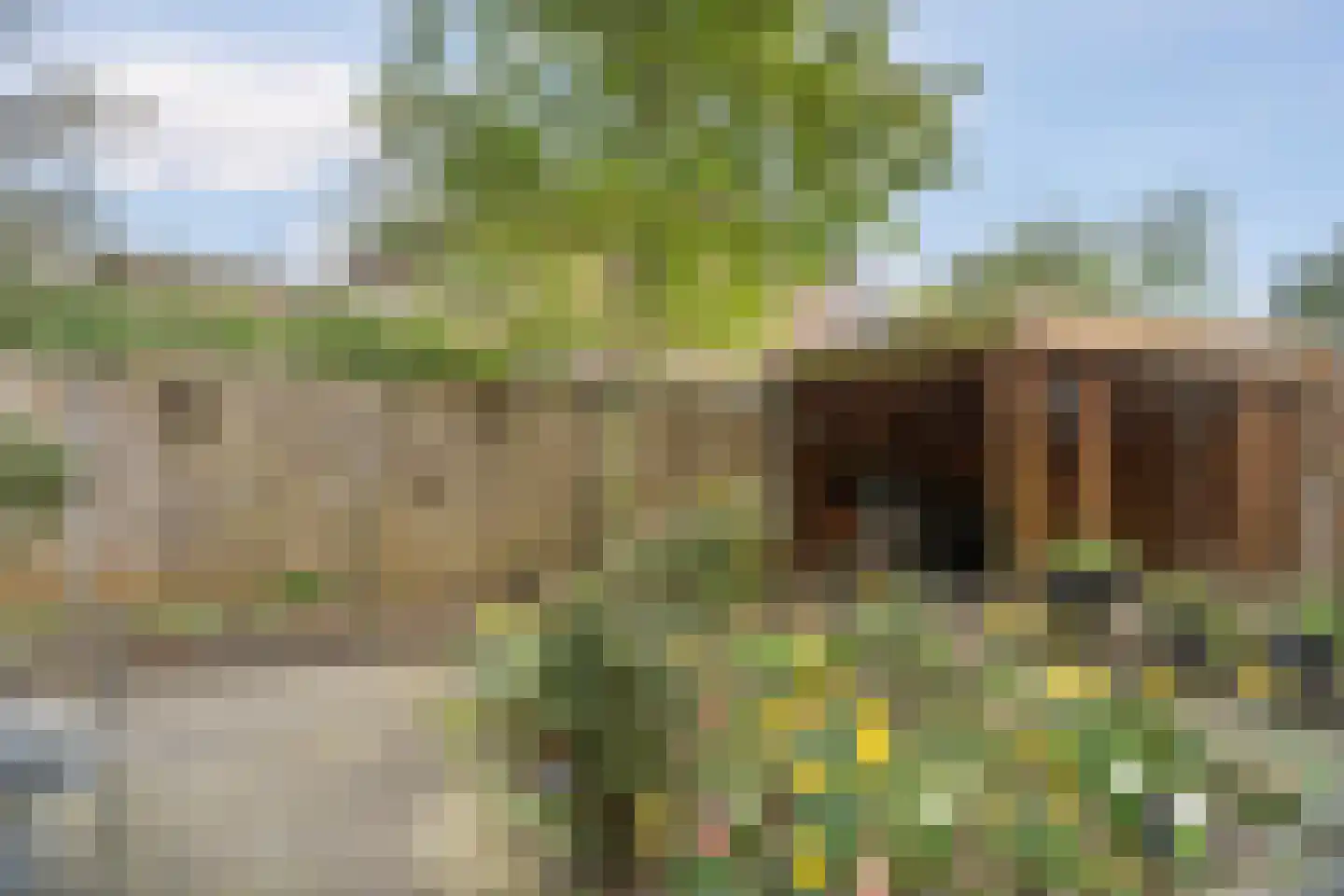 Brantsenpark 5 De Steeg thumbnail 49
