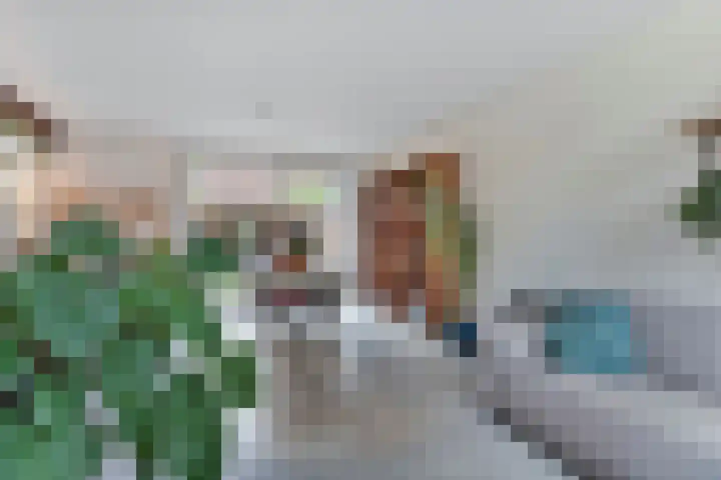 Brantsenpark 5 De Steeg thumbnail 8