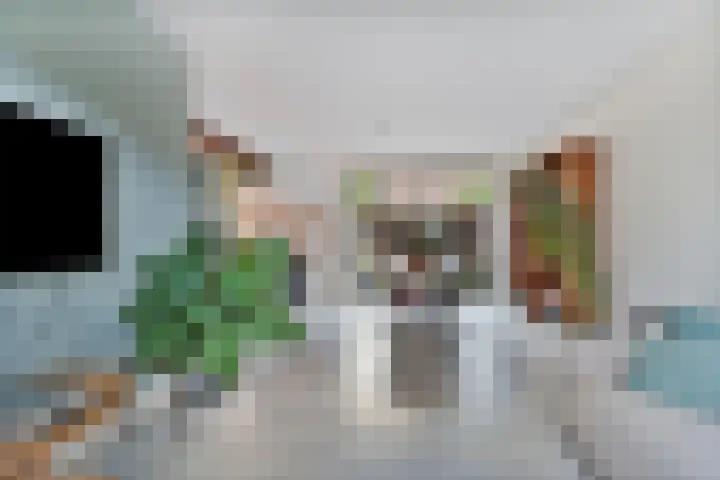 Brantsenpark 5 De Steeg thumbnail 9