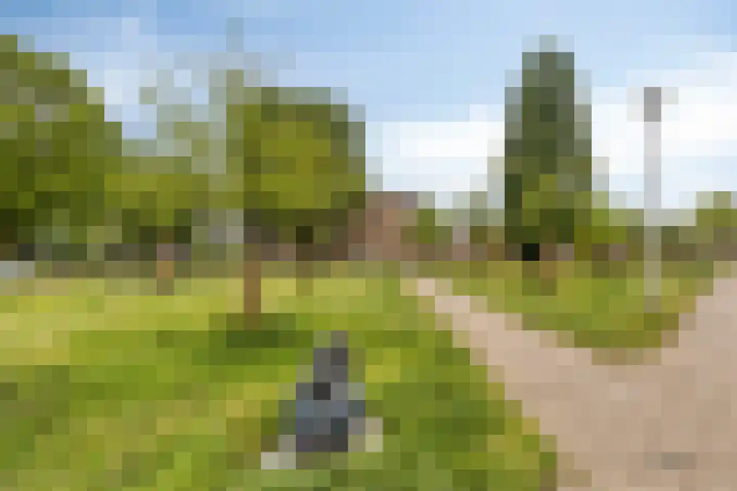 Brantstraat 18 Helmond thumbnail 31