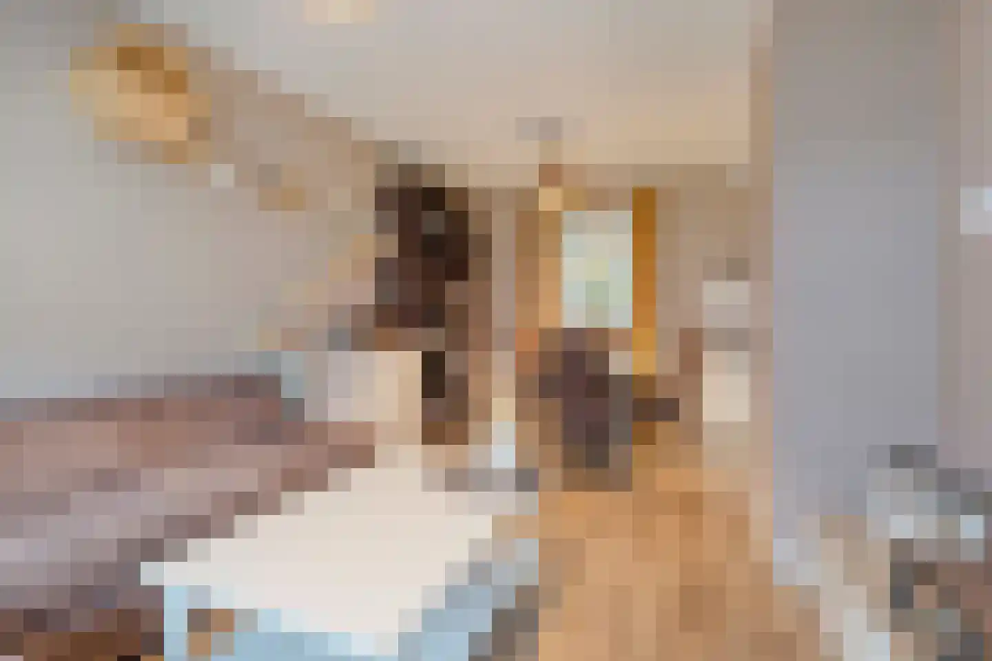 Brantstraat 18 Helmond thumbnail 4