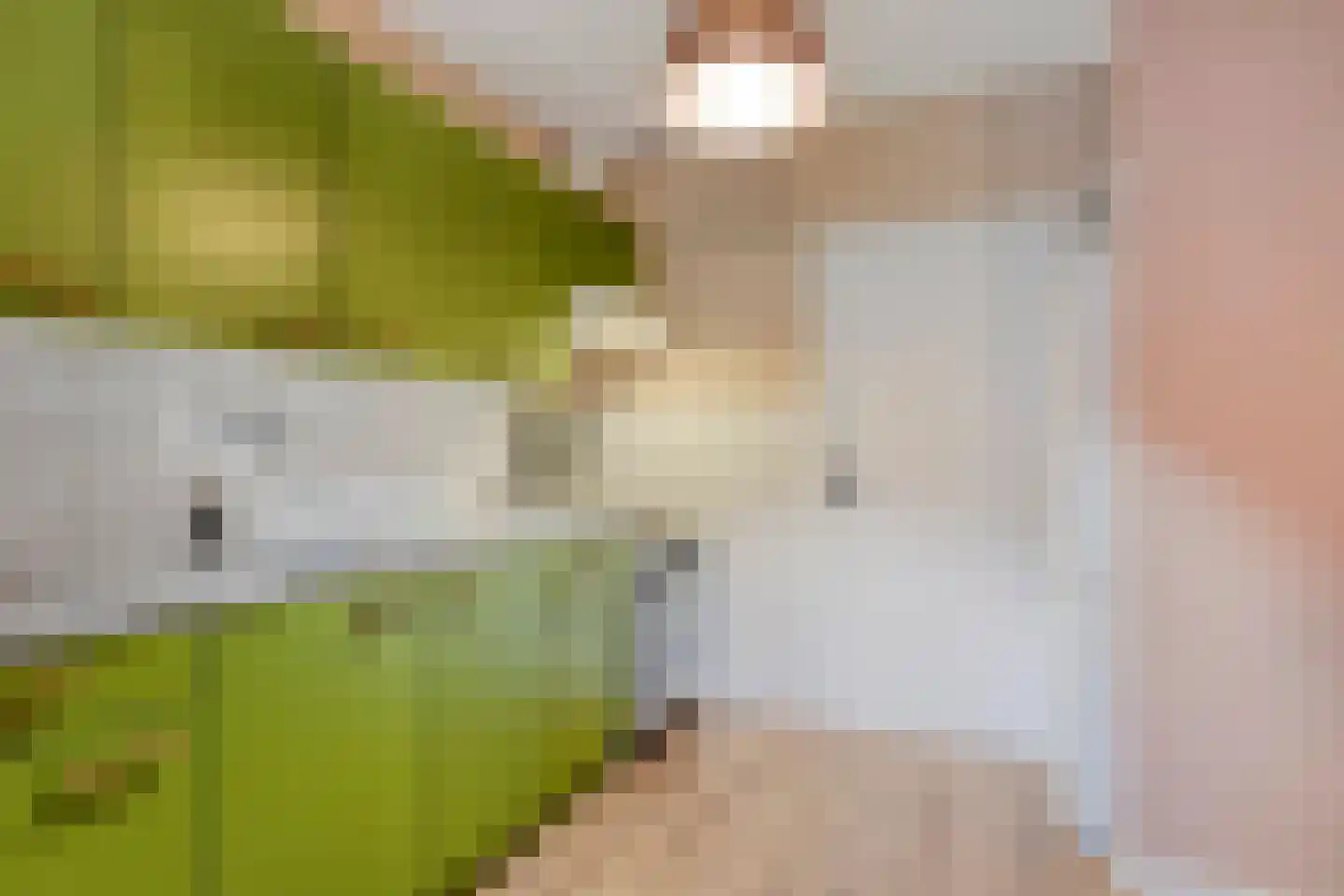 Brantstraat 18 Helmond thumbnail 8