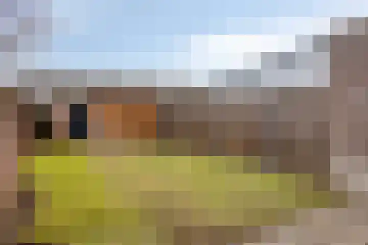 Brantstraat 27 Helmond thumbnail 24
