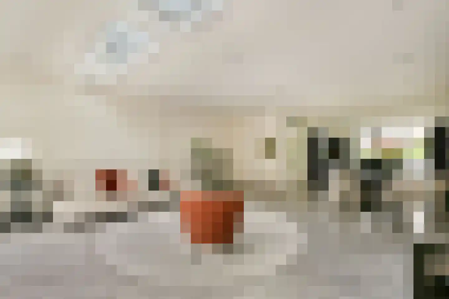 Brantwijk 11 Amstelveen thumbnail 9