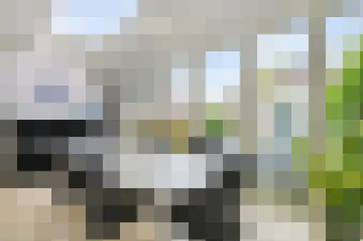 Brantwijk 23 Amstelveen thumbnail 5