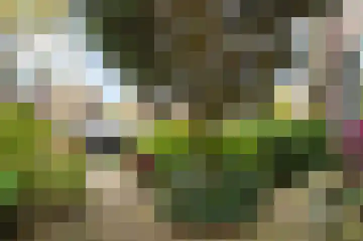 Brantwijk 23 Amstelveen thumbnail 52