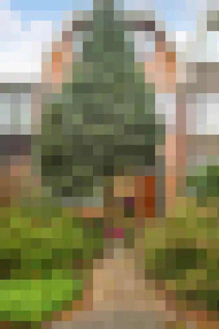 Brantwijk 23 Amstelveen thumbnail 54