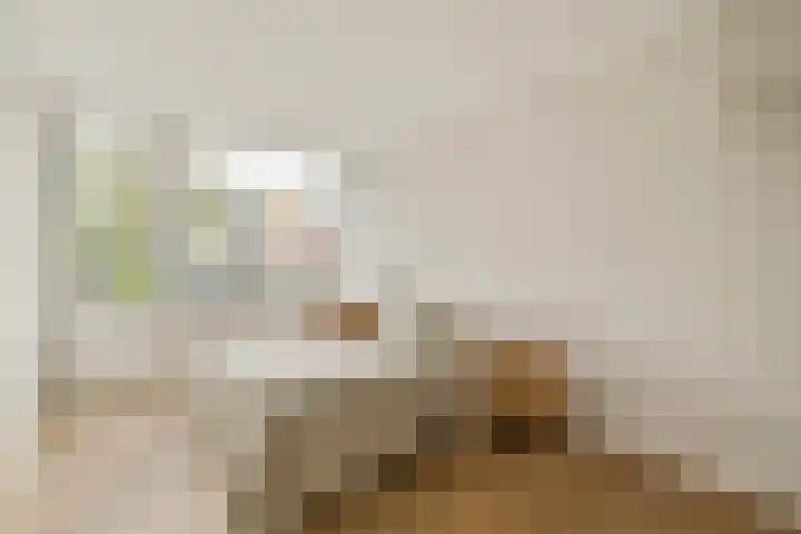 Brantwijk 28 Amstelveen thumbnail 30