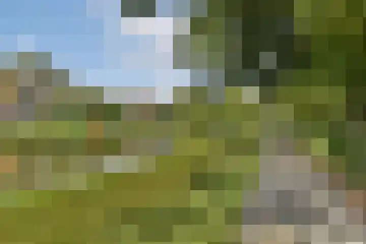 Brantwijk 64 Amstelveen thumbnail 32