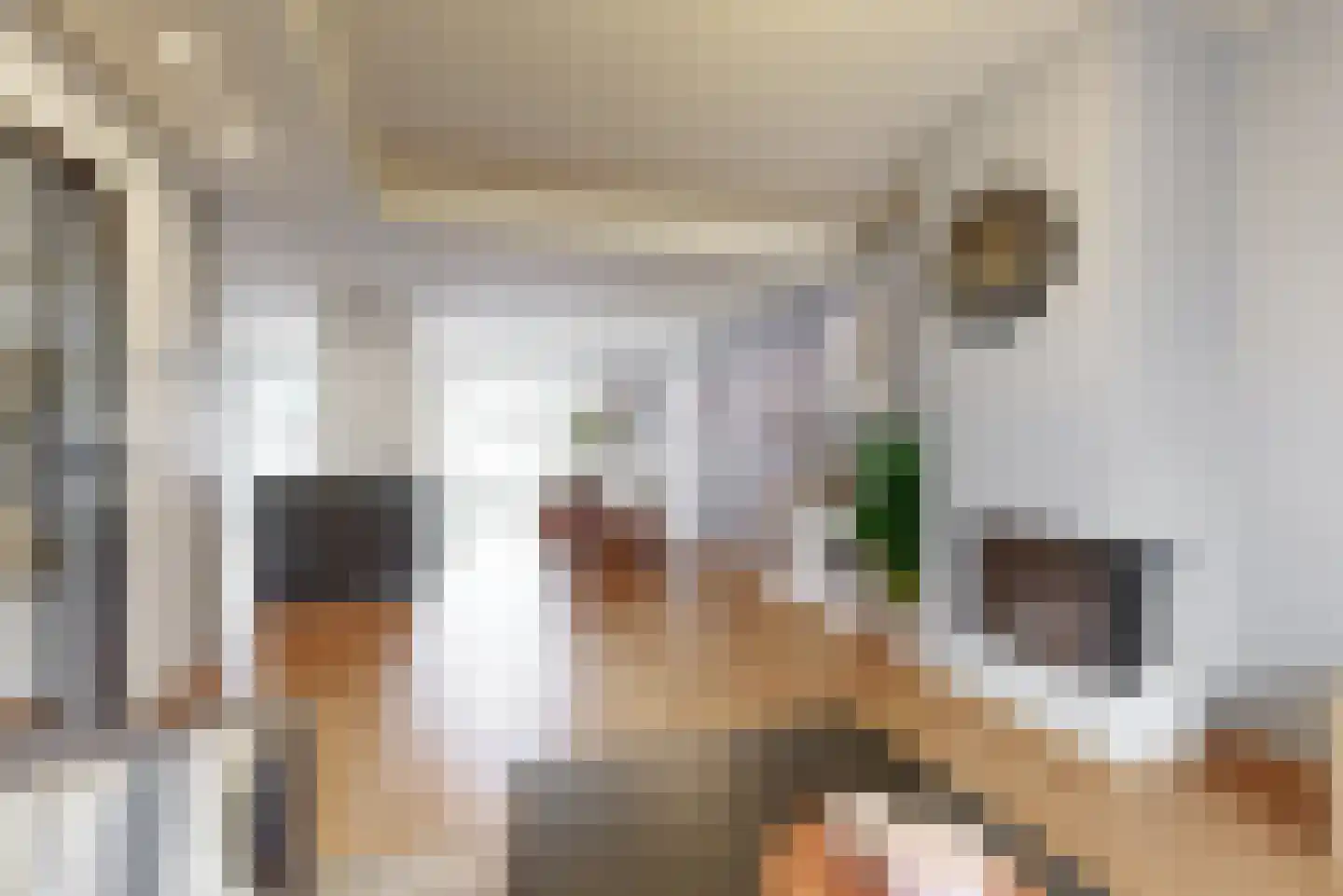 Brantwijk 84 Amstelveen thumbnail 5