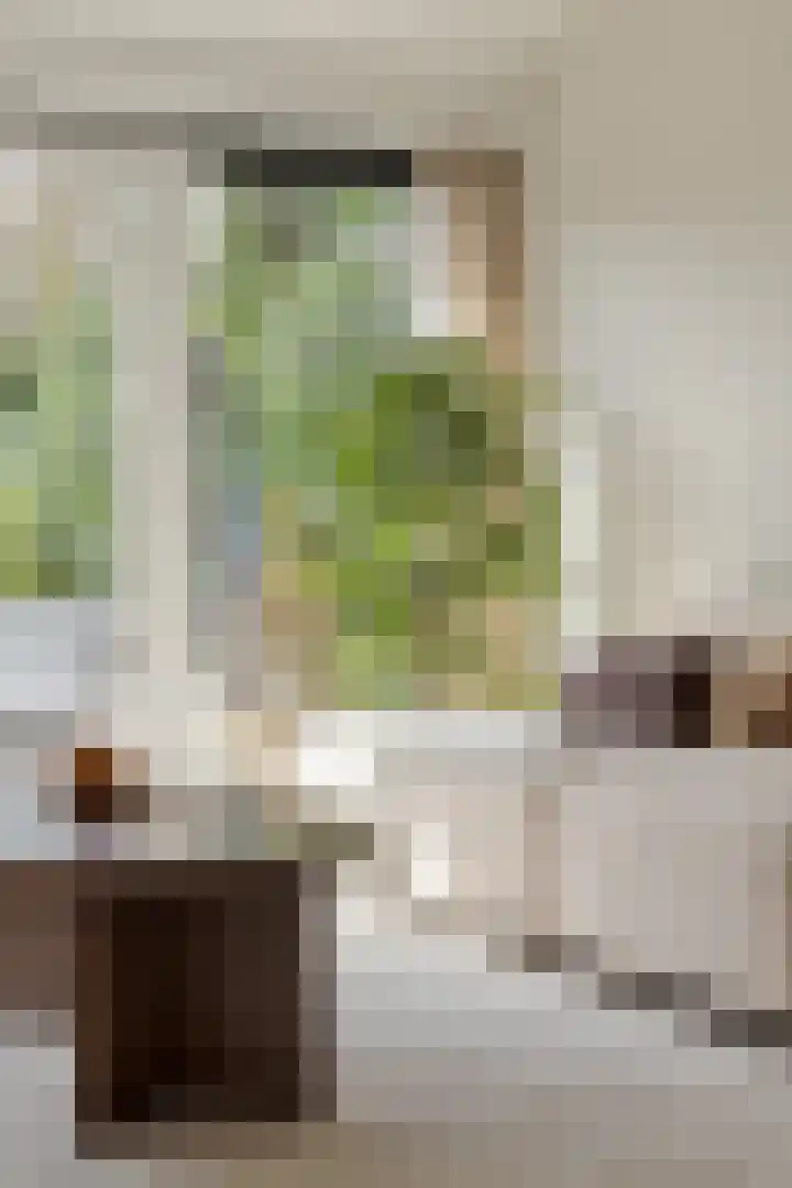 Bras 1 Bunschoten-Spakenburg thumbnail 13