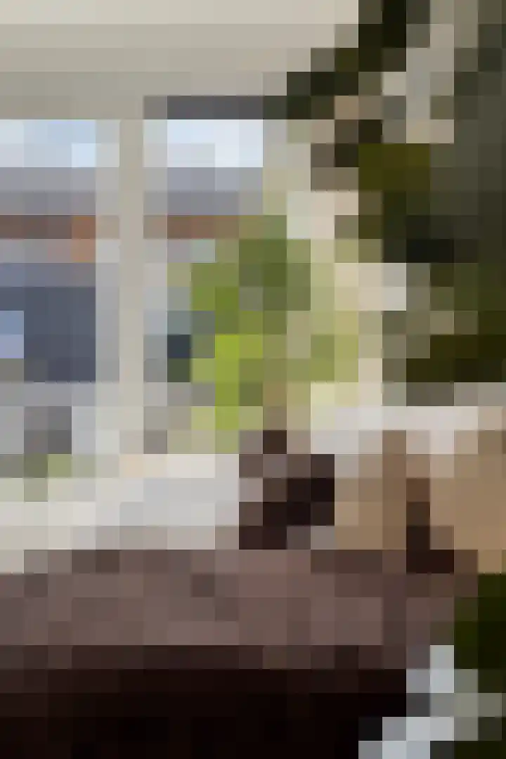Bras 1 Bunschoten-Spakenburg thumbnail 14