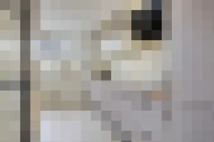 Bras 1 Bunschoten-Spakenburg thumbnail 17