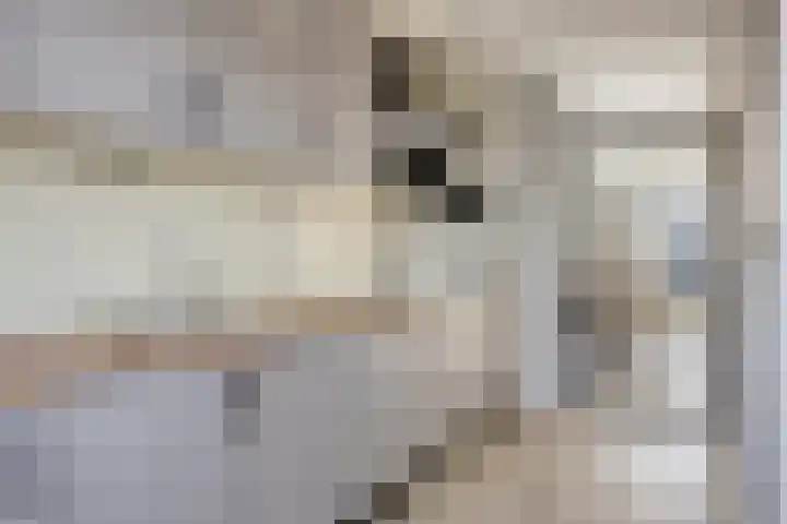 Bras 1 Bunschoten-Spakenburg thumbnail 18
