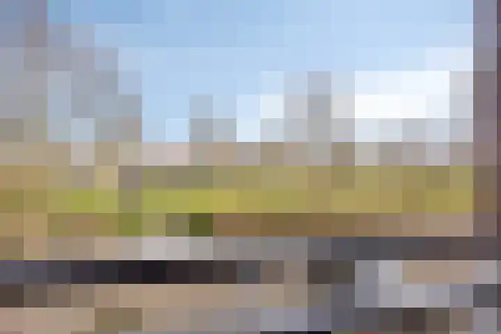 Bras 1 Bunschoten-Spakenburg thumbnail 31