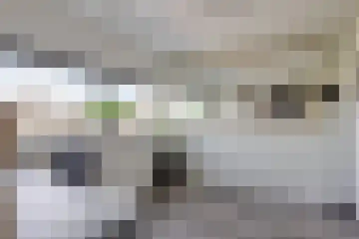 Bras 1 Bunschoten-Spakenburg thumbnail 39