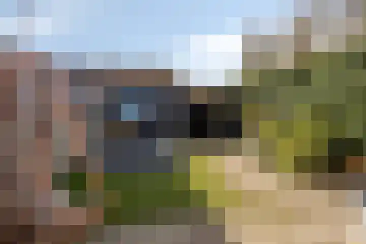 Bras 1 Bunschoten-Spakenburg thumbnail 40