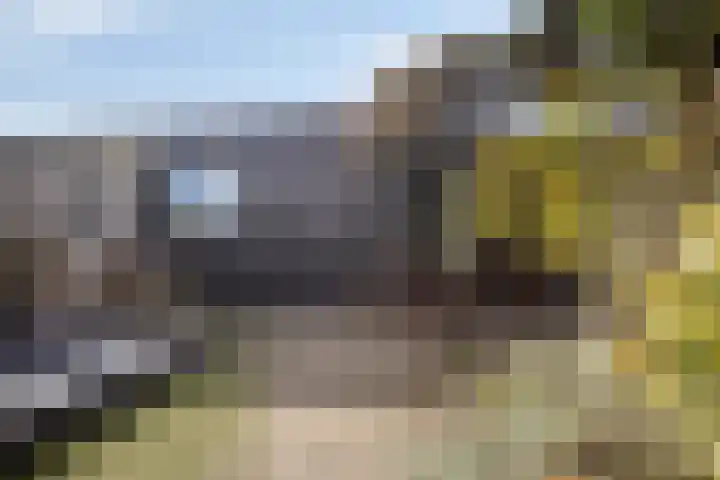 Bras 1 Bunschoten-Spakenburg thumbnail 42