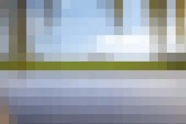 Bras 1 Bunschoten-Spakenburg thumbnail 47