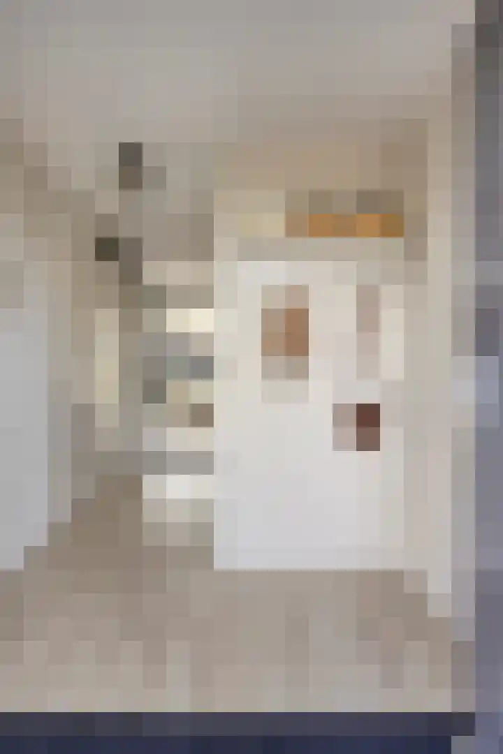 Bras 1 Bunschoten-Spakenburg thumbnail 5