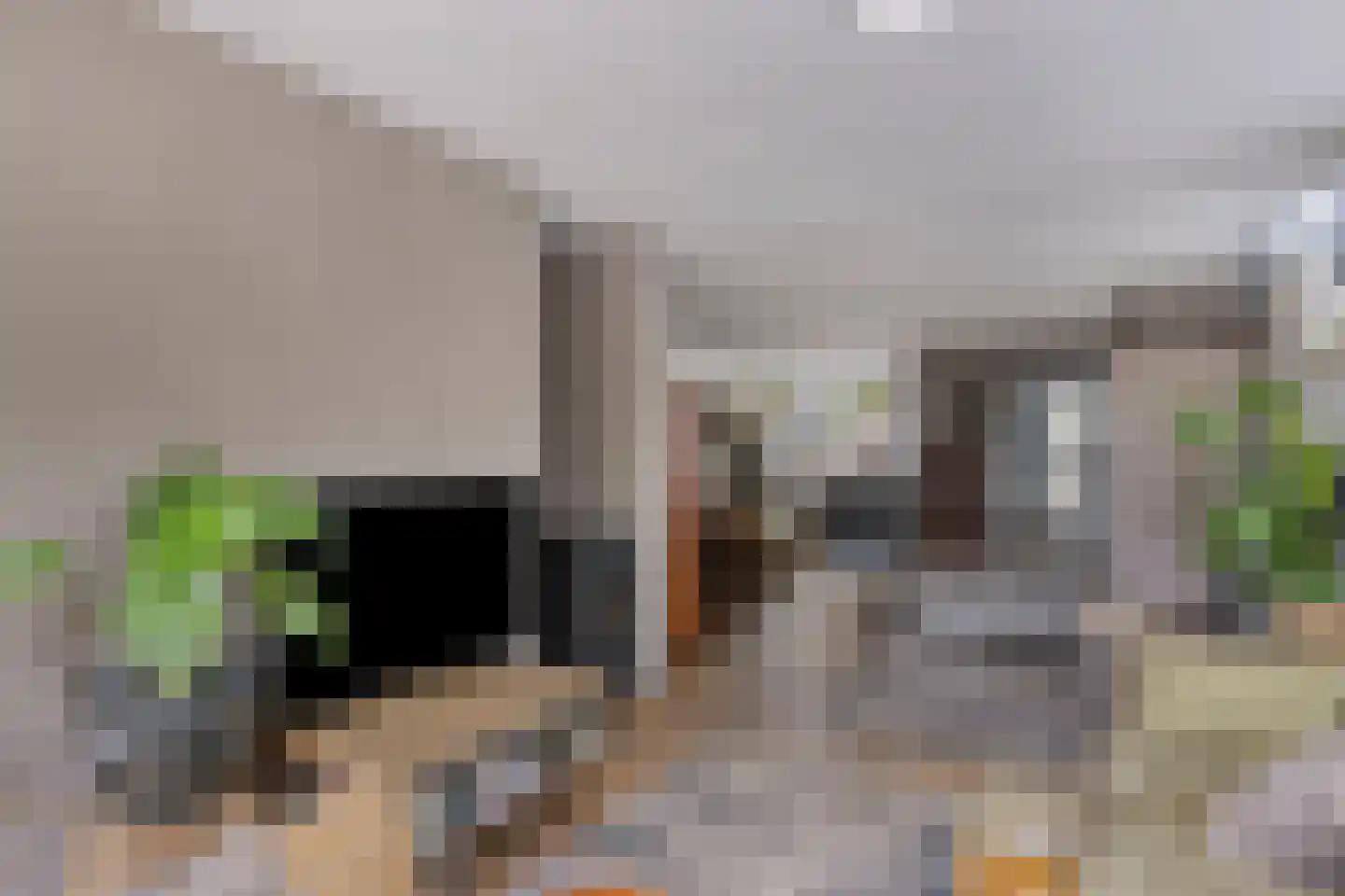 Brasem 1 Bodegraven thumbnail 10