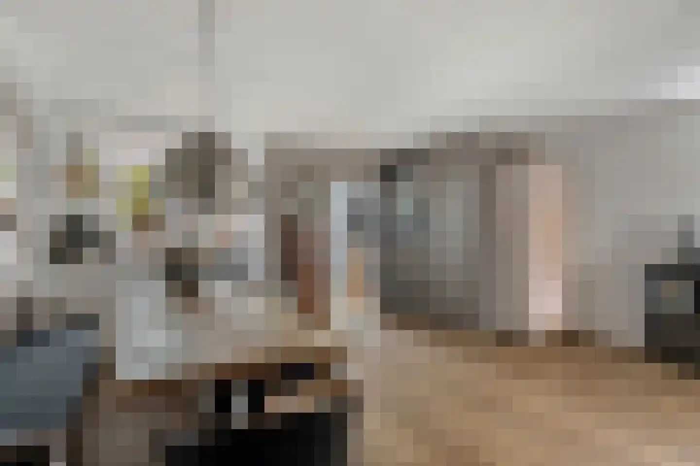 Brasem 1 Bodegraven thumbnail 13