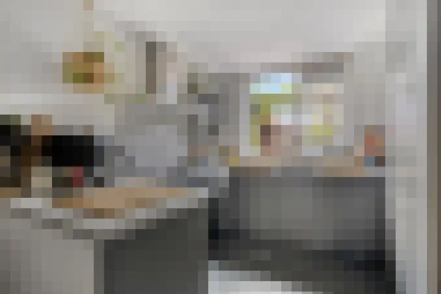 Brasem 1 Bodegraven thumbnail 14