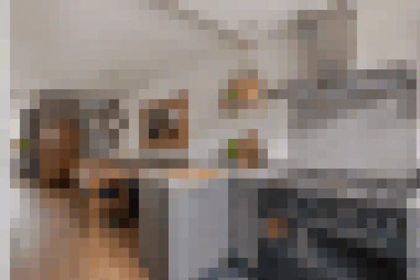 Brasem 1 Bodegraven thumbnail 16