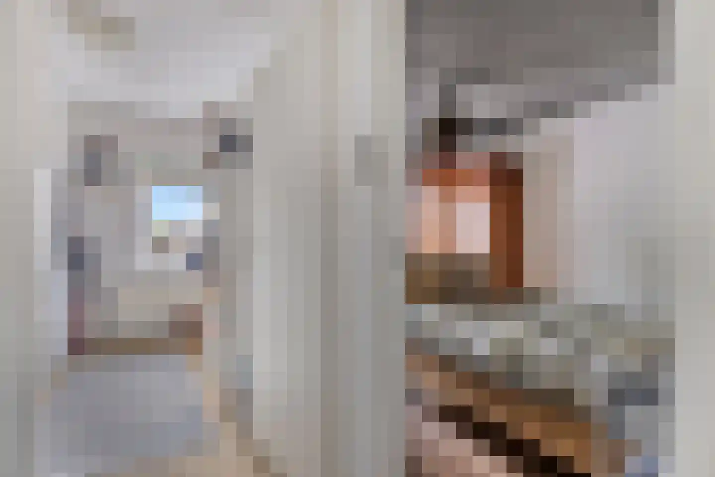 Brasem 1 Bodegraven thumbnail 19