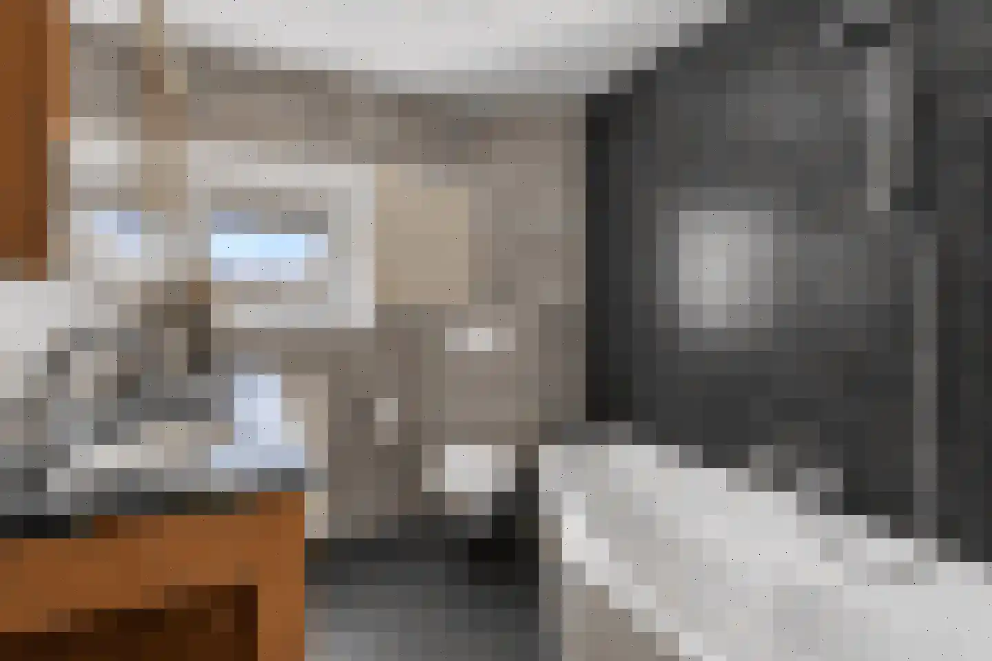 Brasem 1 Bodegraven thumbnail 20