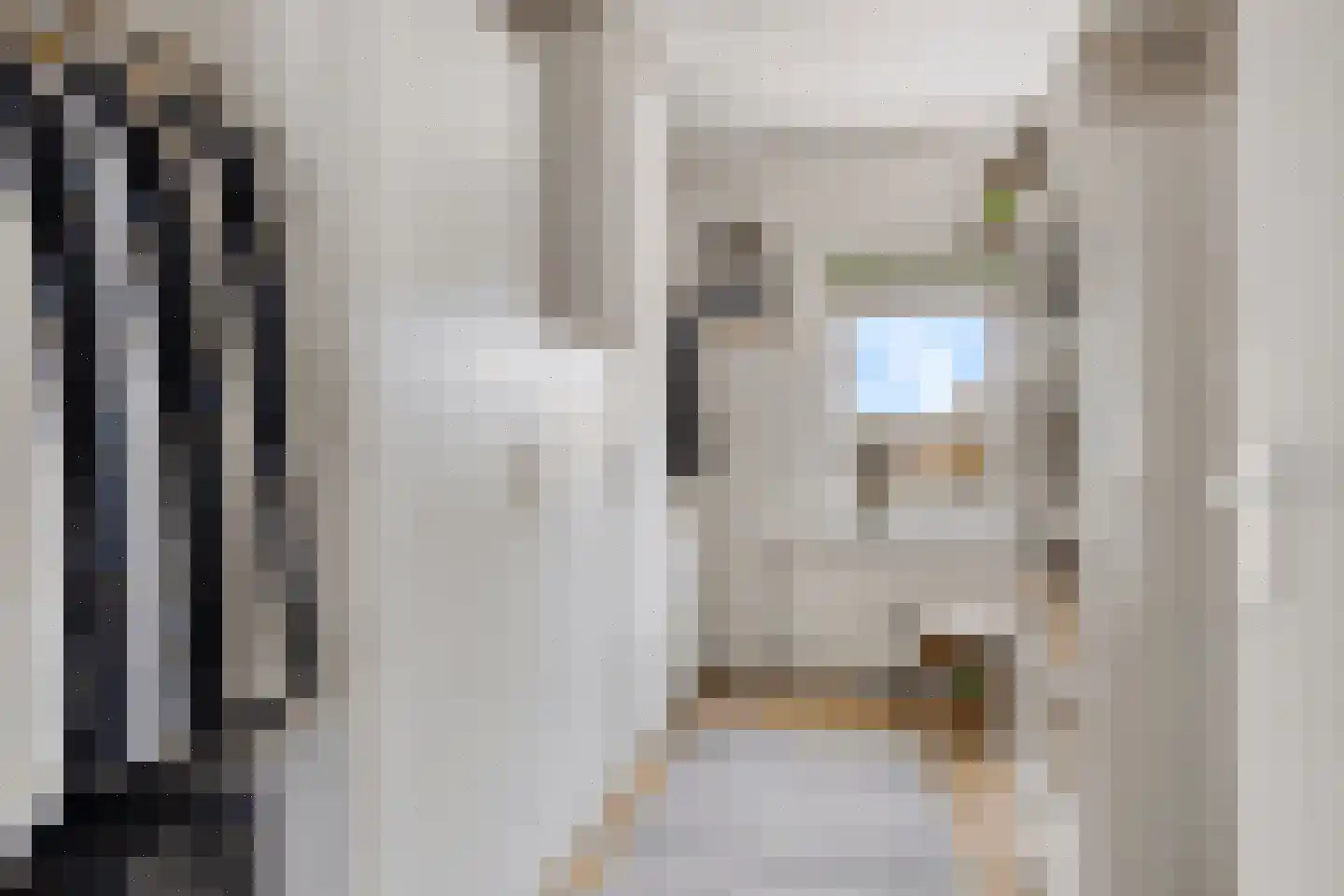 Brasem 1 Bodegraven thumbnail 21