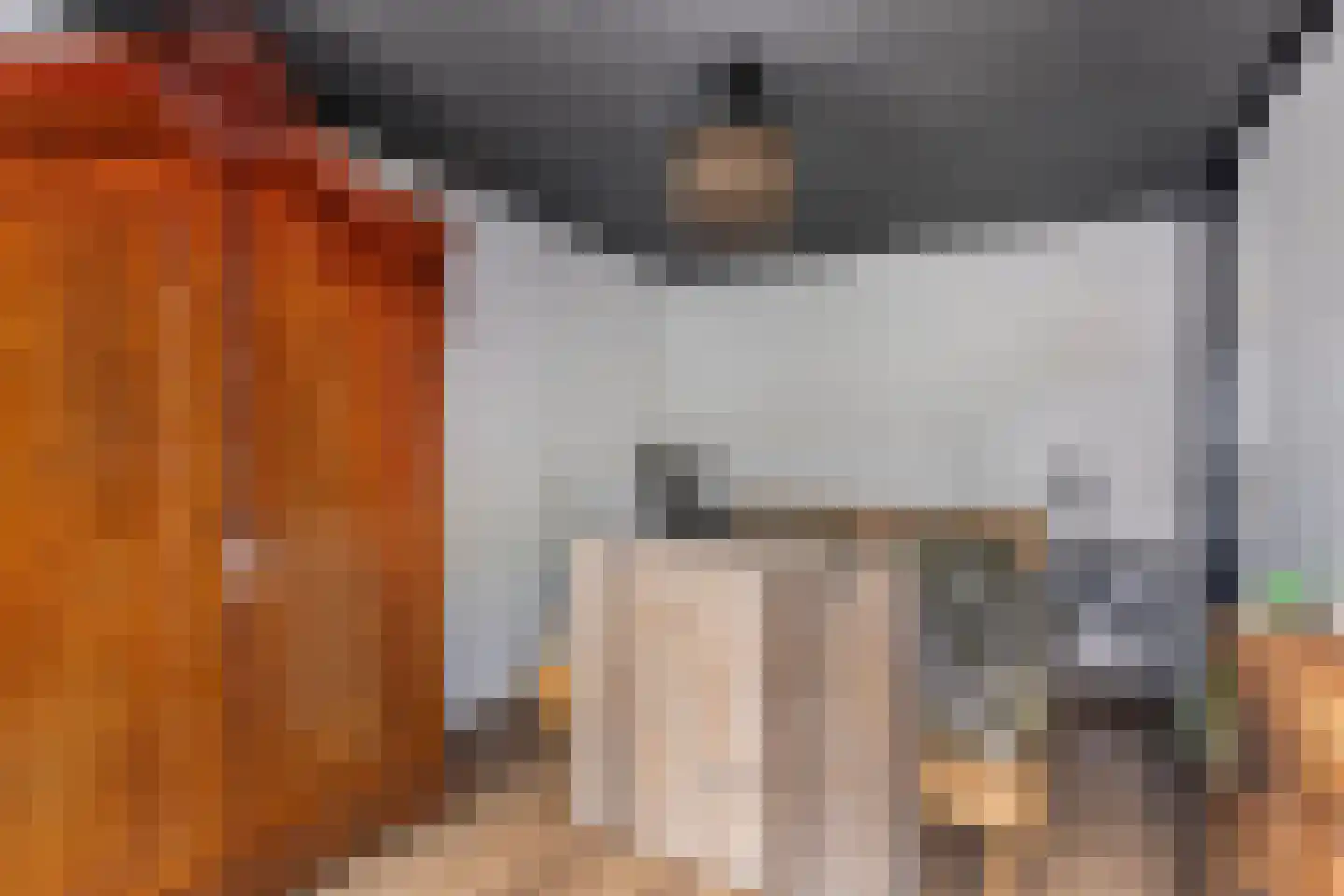 Brasem 1 Bodegraven thumbnail 22