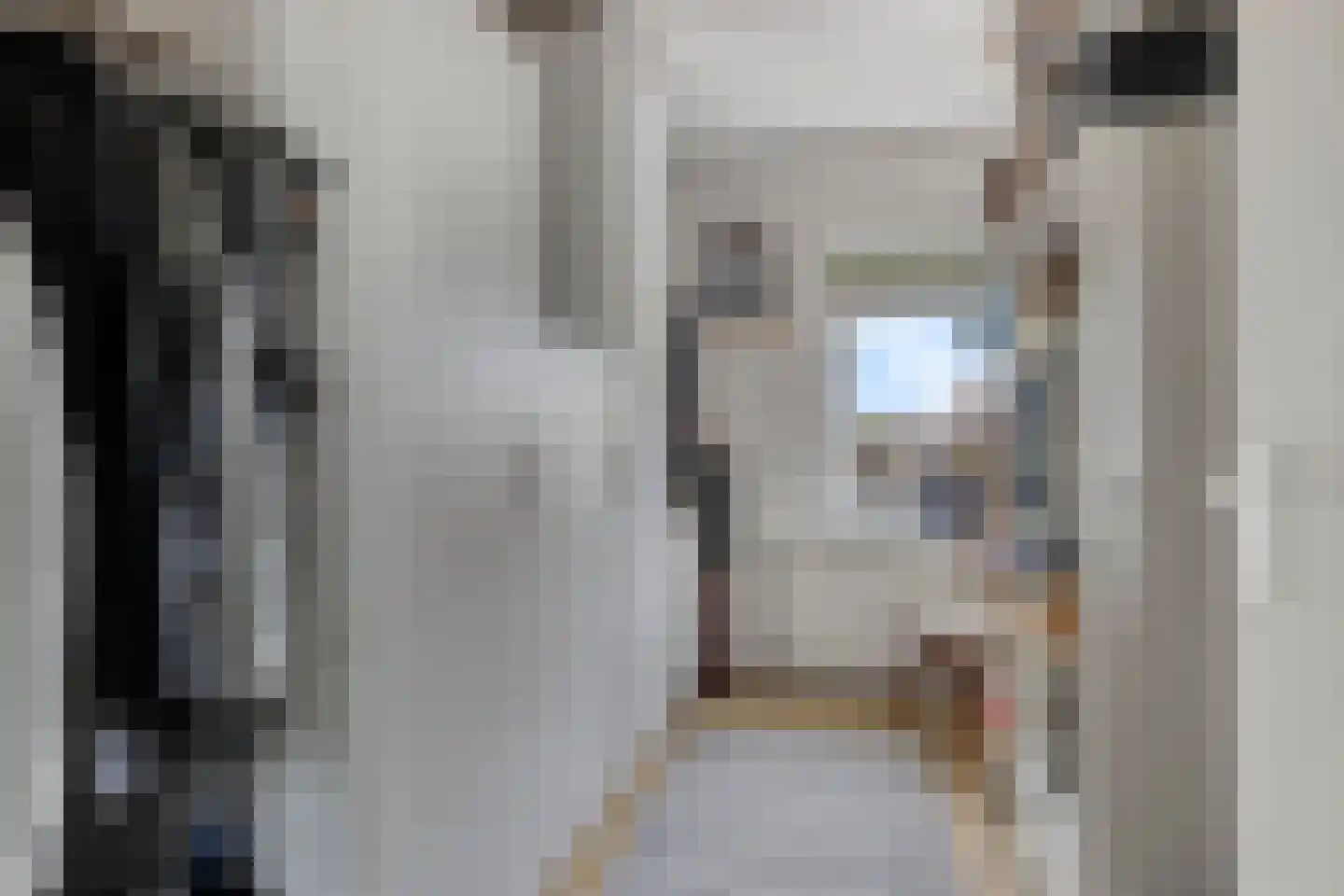 Brasem 1 Bodegraven thumbnail 26