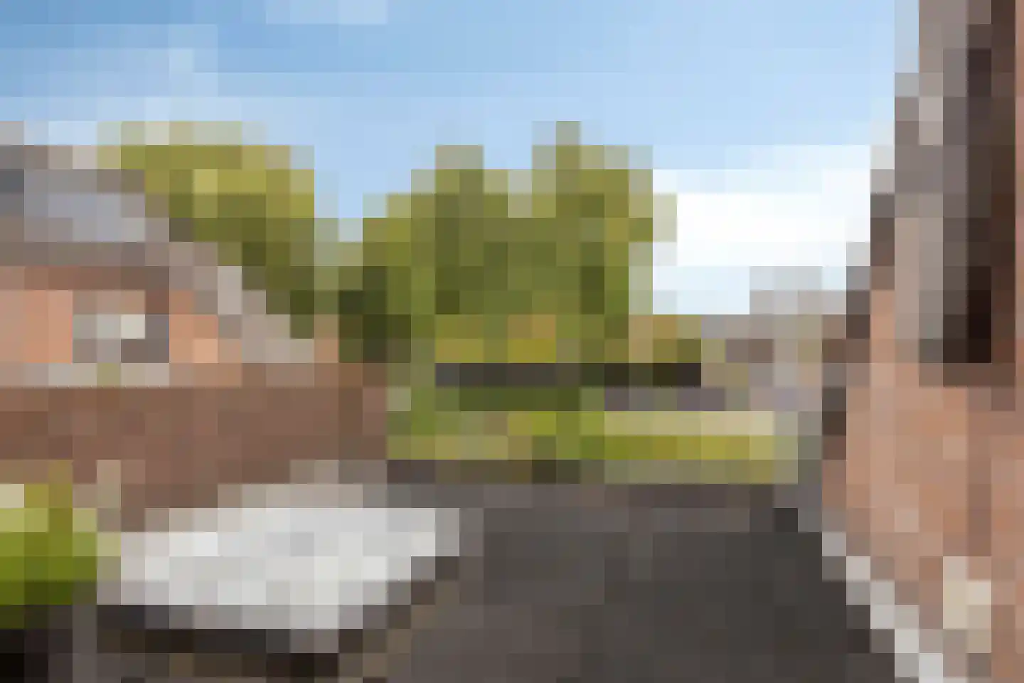 Brasem 1 Bodegraven thumbnail 32
