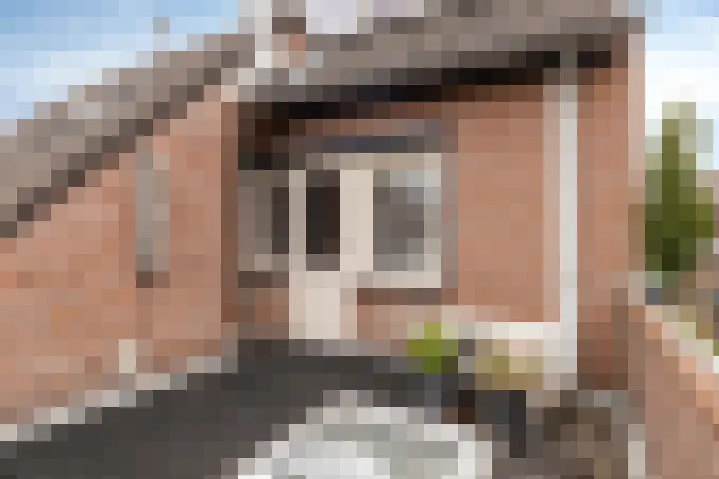 Brasem 1 Bodegraven thumbnail 33