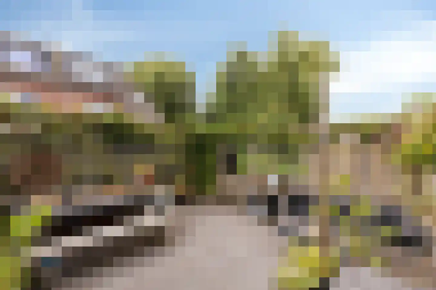 Brasem 1 Bodegraven thumbnail 34