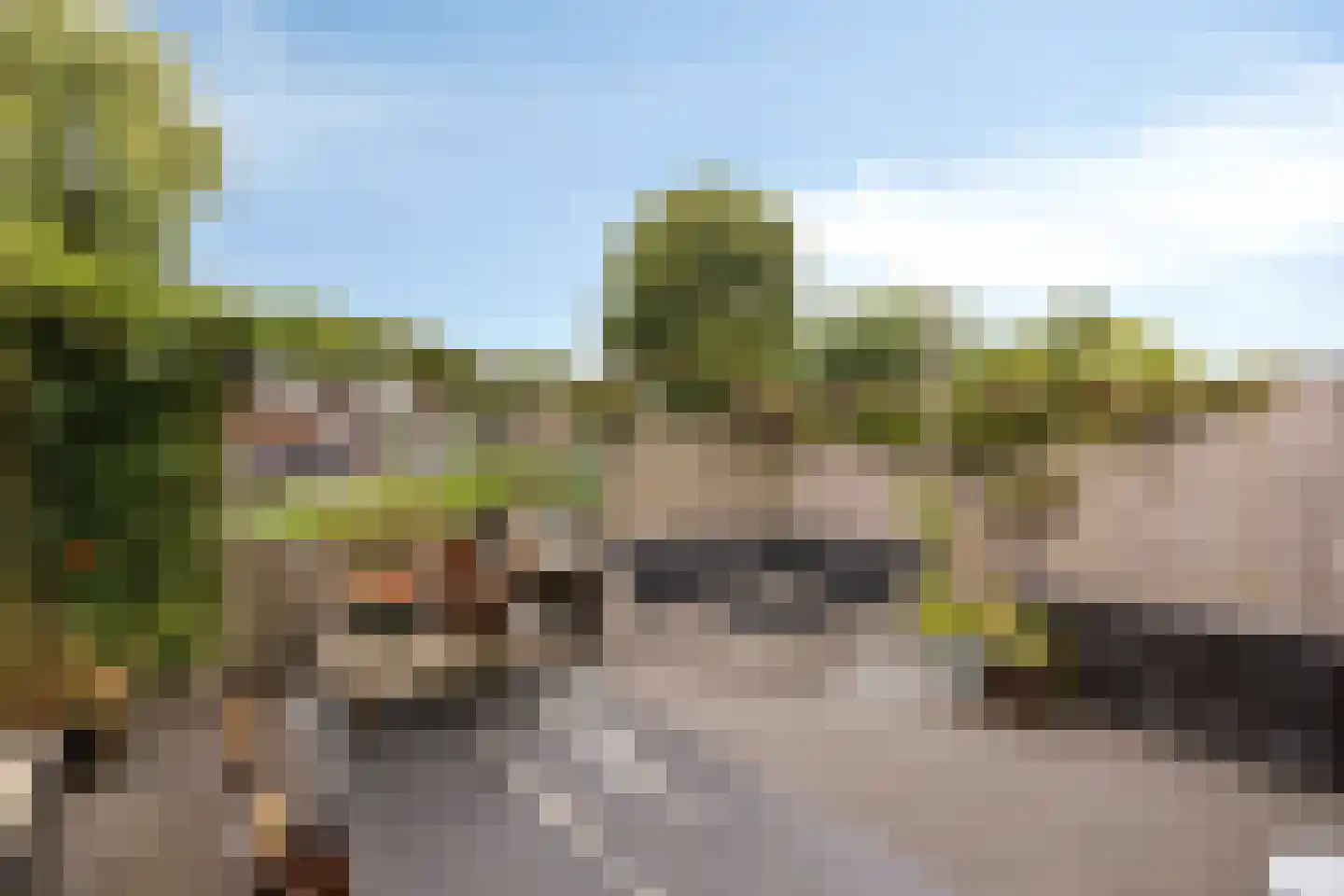 Brasem 1 Bodegraven thumbnail 35