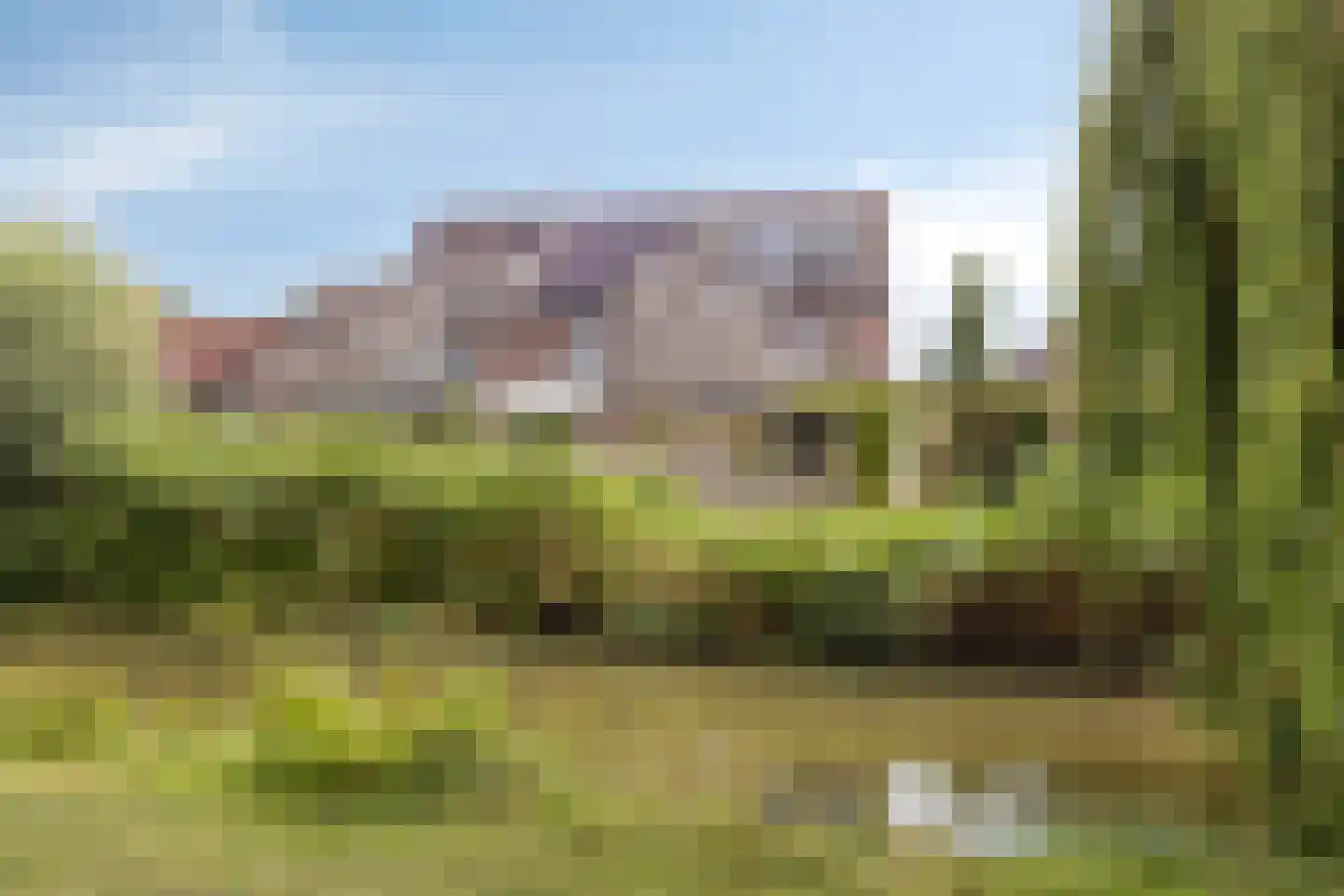 Brasem 1 Bodegraven thumbnail 40