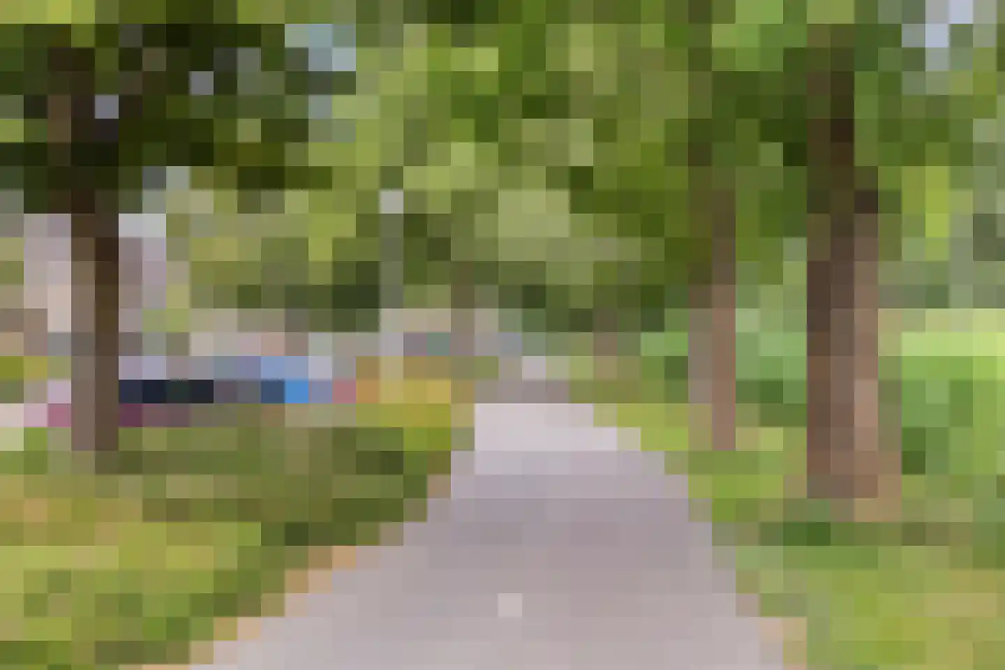 Brasem 1 Bodegraven thumbnail 41