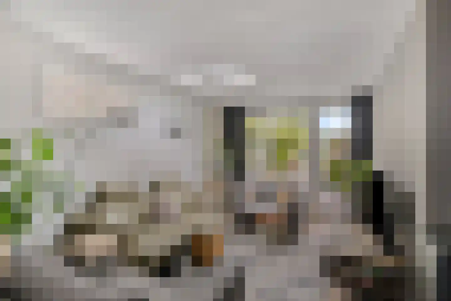 Brasem 1 Bodegraven thumbnail 9