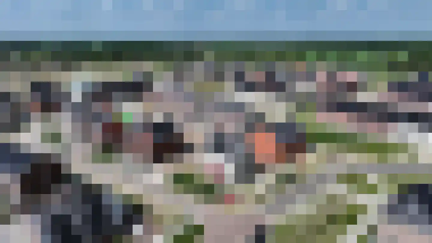 Brasem 1 Hardenberg thumbnail 6
