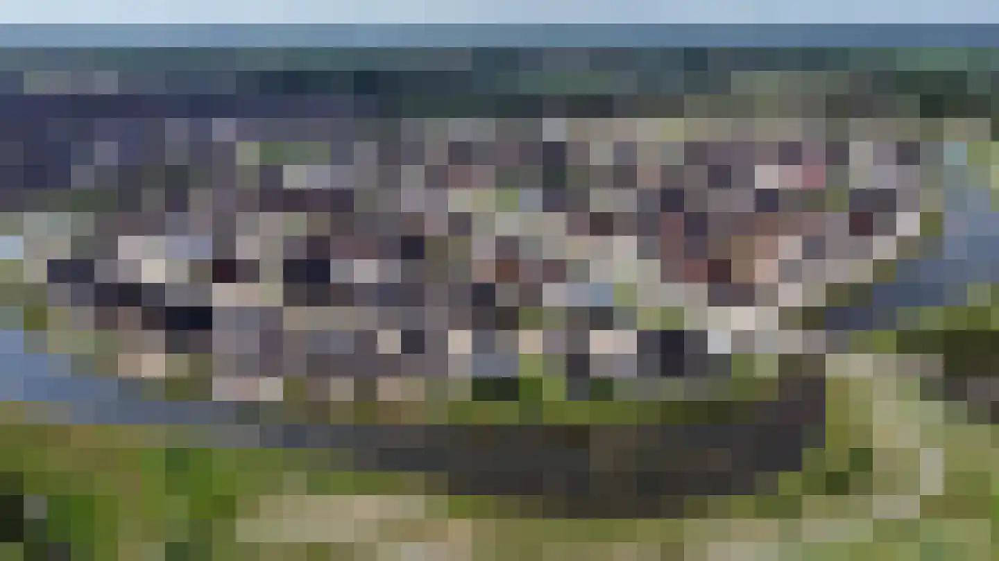Brasem 1 Hardenberg thumbnail 7