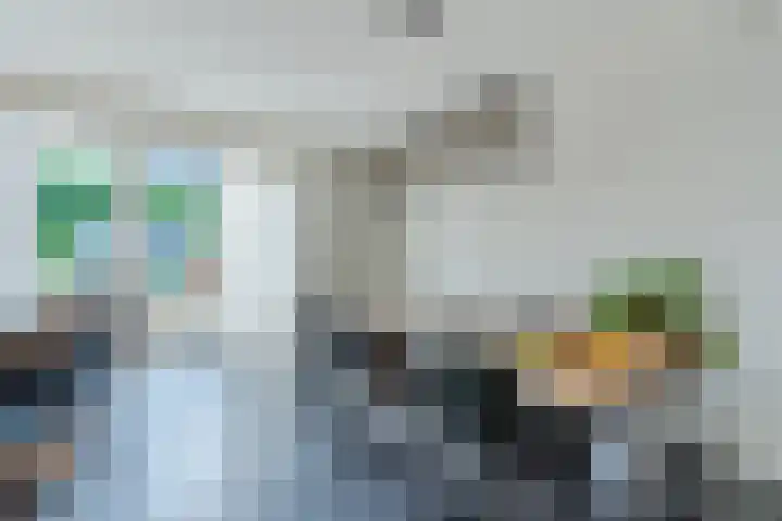 Brasem 1 Nieuwleusen thumbnail 10