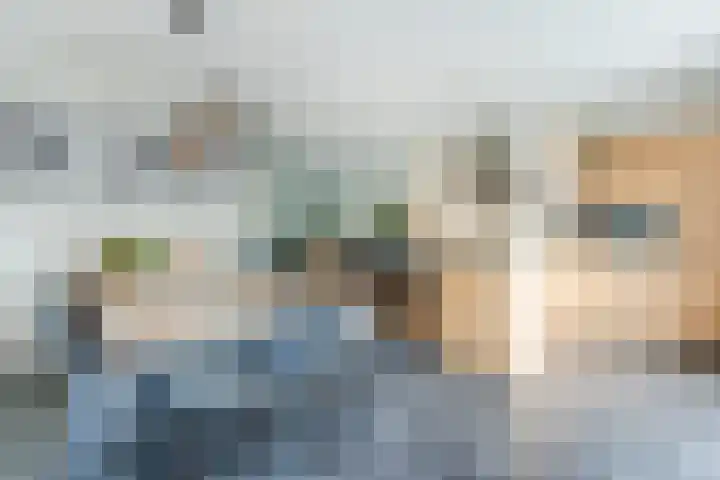Brasem 1 Nieuwleusen thumbnail 11
