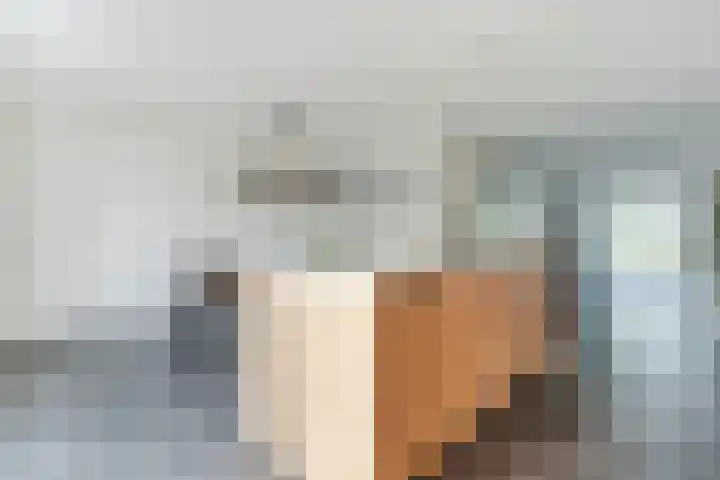Brasem 1 Nieuwleusen thumbnail 12
