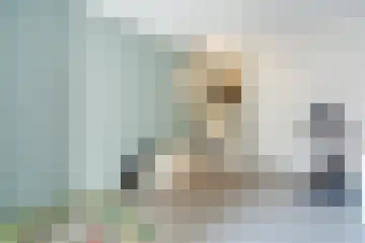 Brasem 1 Nieuwleusen thumbnail 15