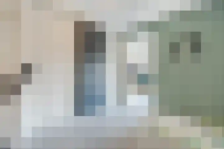 Brasem 1 Nieuwleusen thumbnail 16