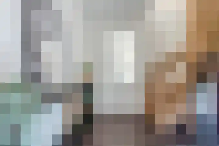 Brasem 1 Nieuwleusen thumbnail 18